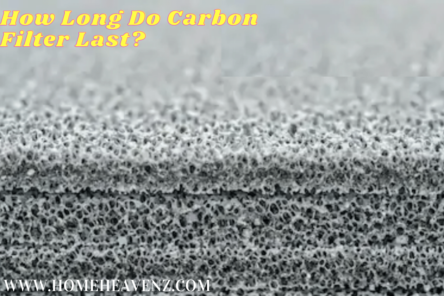 How Long Do Carbon Filter Last_