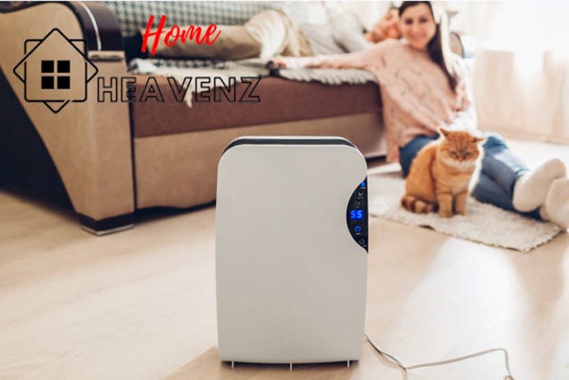 Best Air Purifier for Dust 2021 – Top 8 Reviews for Dust Removal & Dust Mites