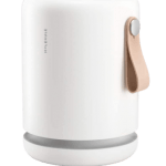 Molekule Air Mini Plus – Best Dorm Room Air Purifier for Allergies and Viruses 2021