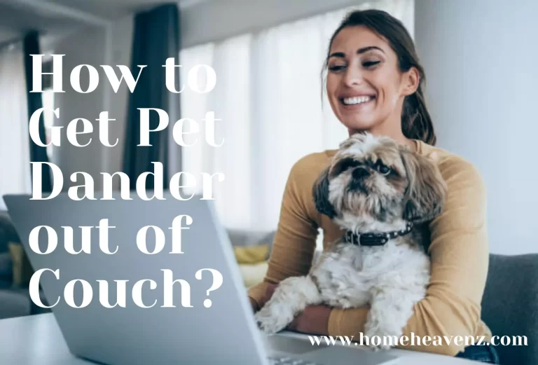 How to Get Pet Dander out of Couch