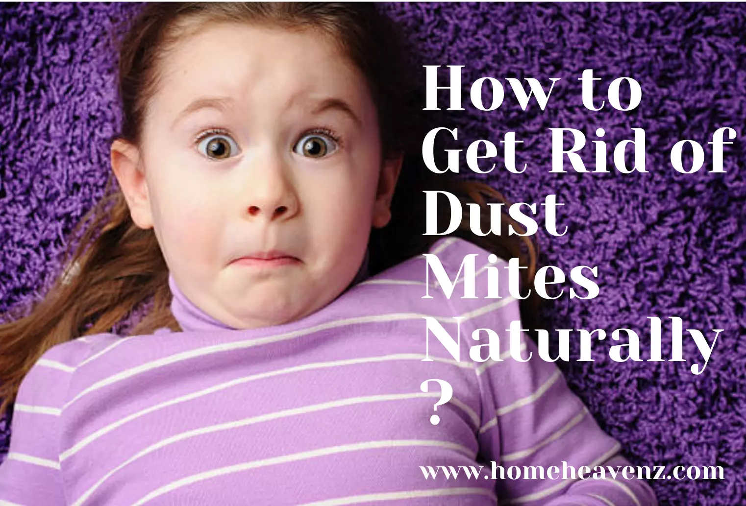 How to Get Rid of Dust Mites Naturally