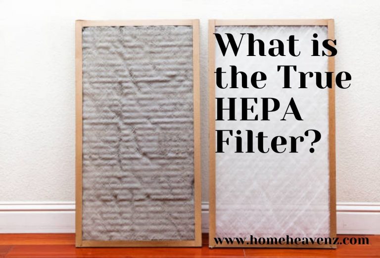 What is the True HEPA Filter