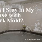 Can I Stay in My House with Black Mold 2022?