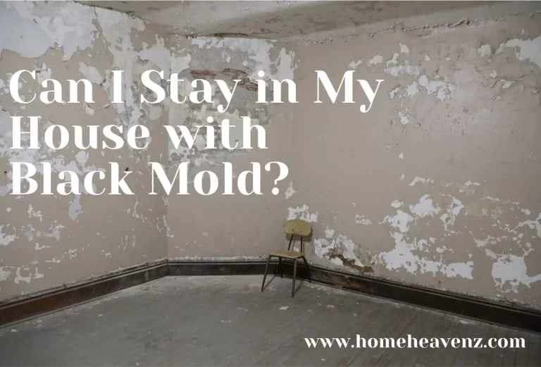 Can I Stay in My House with Black Mold