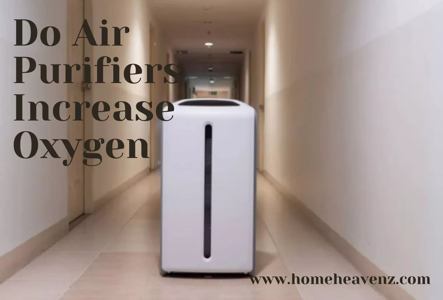 Do Air Purifiers Increase Oxygen