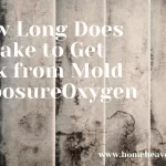 How Long Does it Take to Get Sick from Mold Exposure 2022?