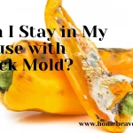 What Does Mold Poisoning Feel Like 2022?