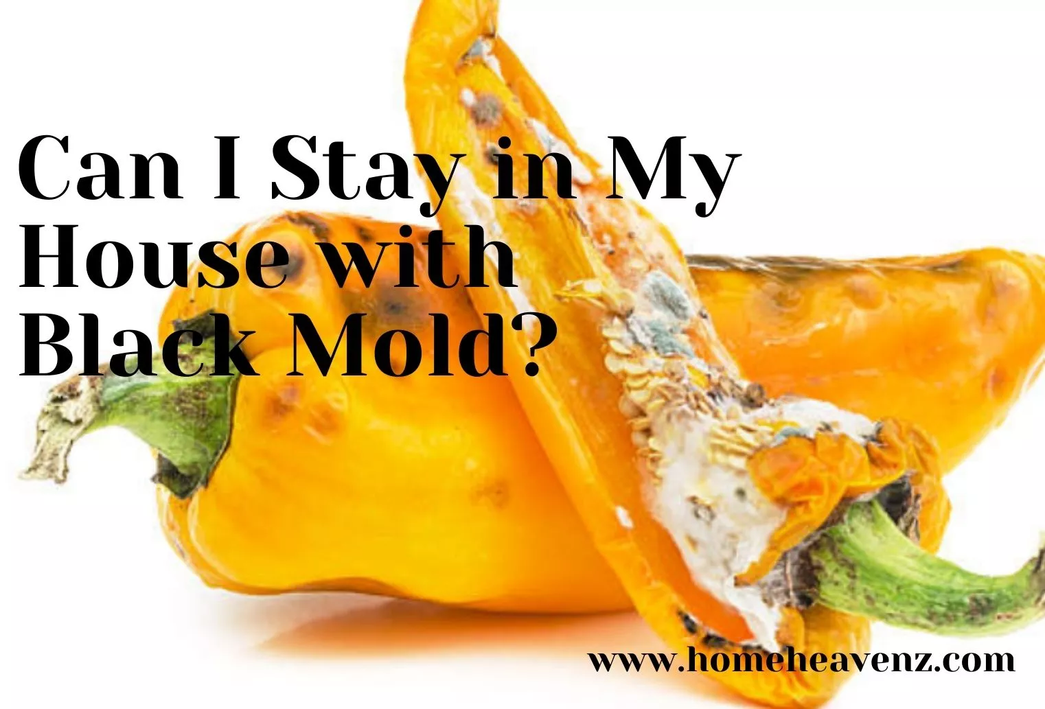 What Does Mold Poisoning Feel Like